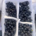 Autumn Black Grapes｜Crisp Dark Table Grapes, Sweet & Rose-Noted