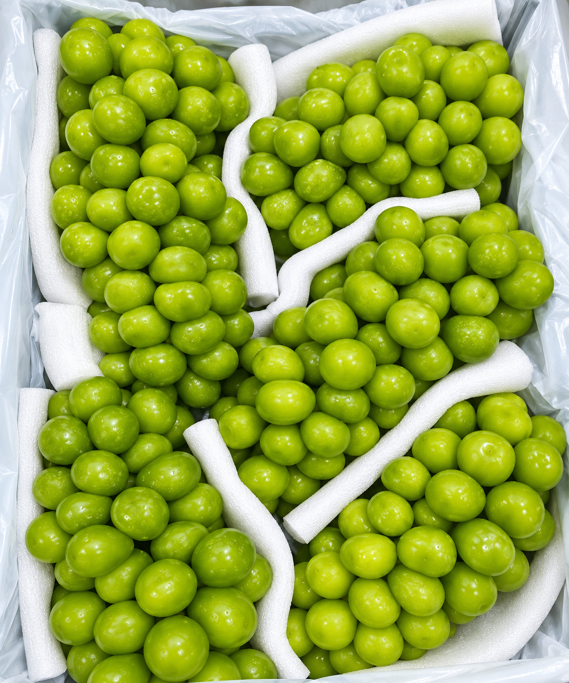 ChatGPT Image 2026年9月22日 16_26_41 Shine Muscat Grape – Premium Seedless Green Grape - Image 1