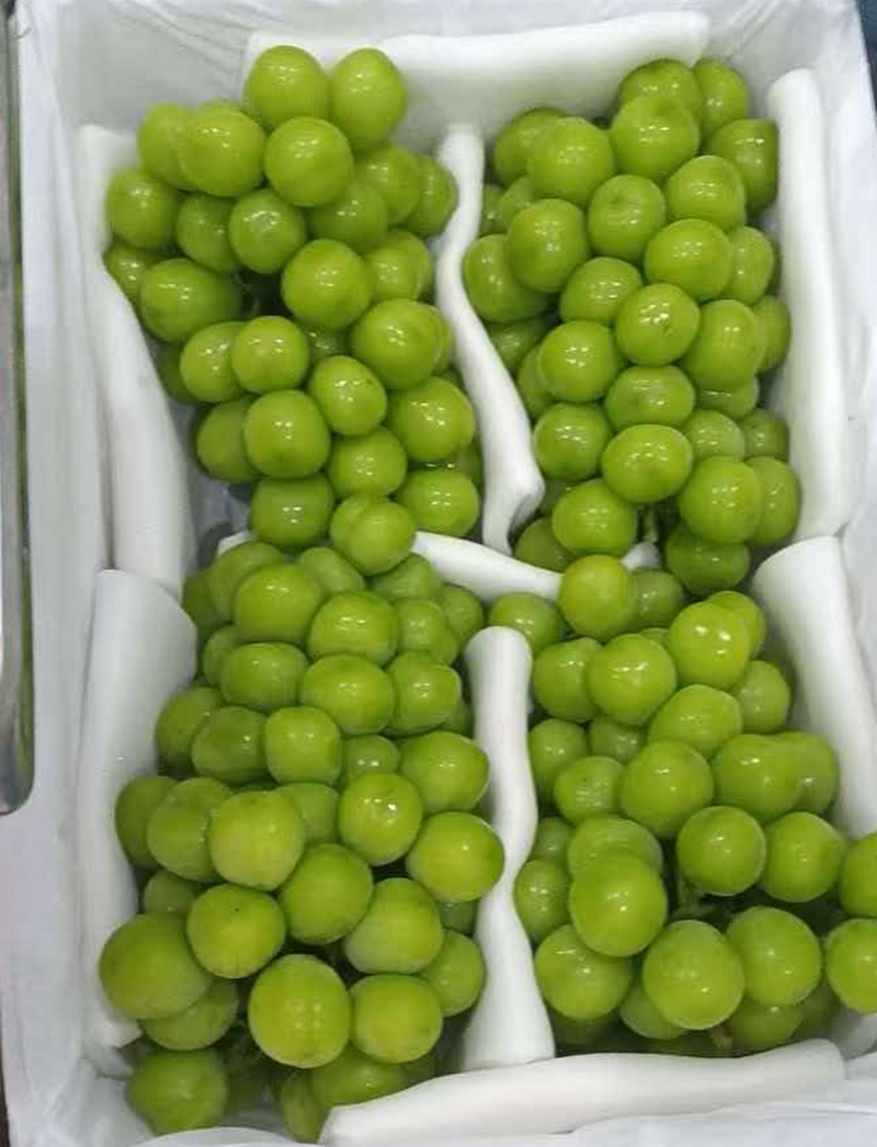Fresh grape shine muscat (4)